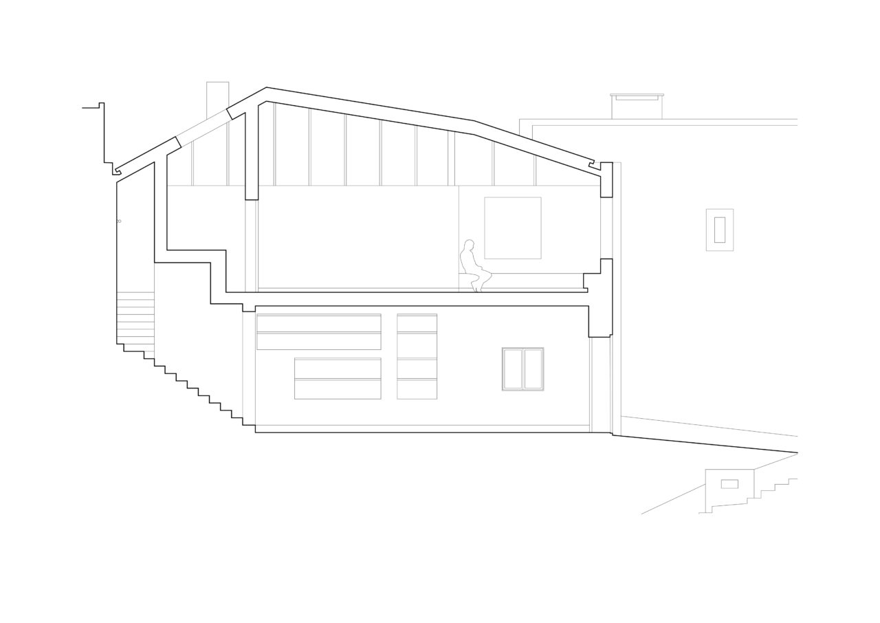 Longitudinal Section
